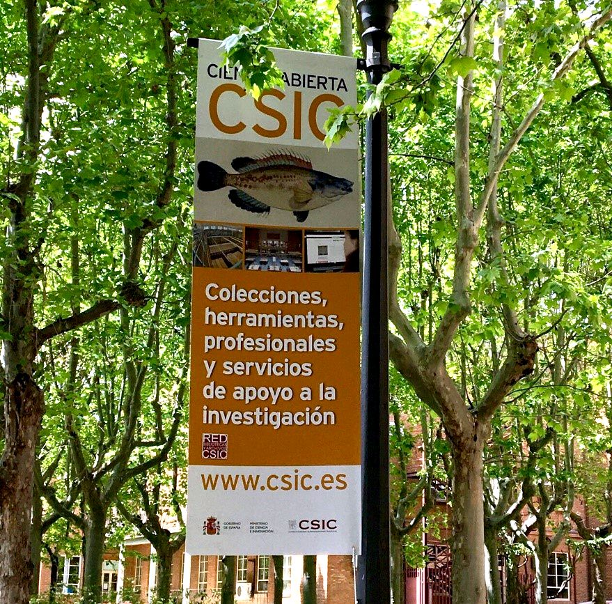 Banderola Red campus CSIC