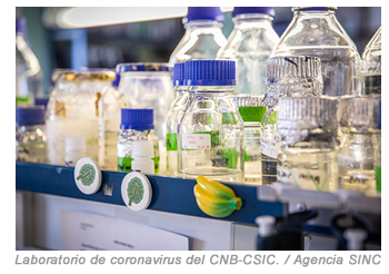 Laboratorio coronavirus CNB