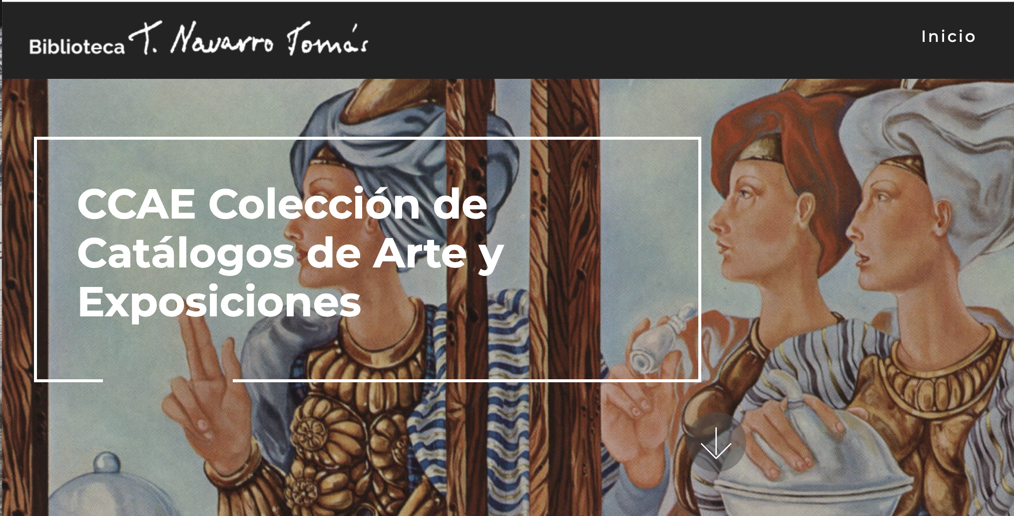 Colección de Catálogos de Arte y Exposiciones de la TNT
