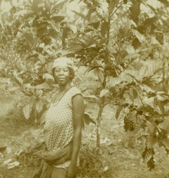 Mujer guineana en plantación