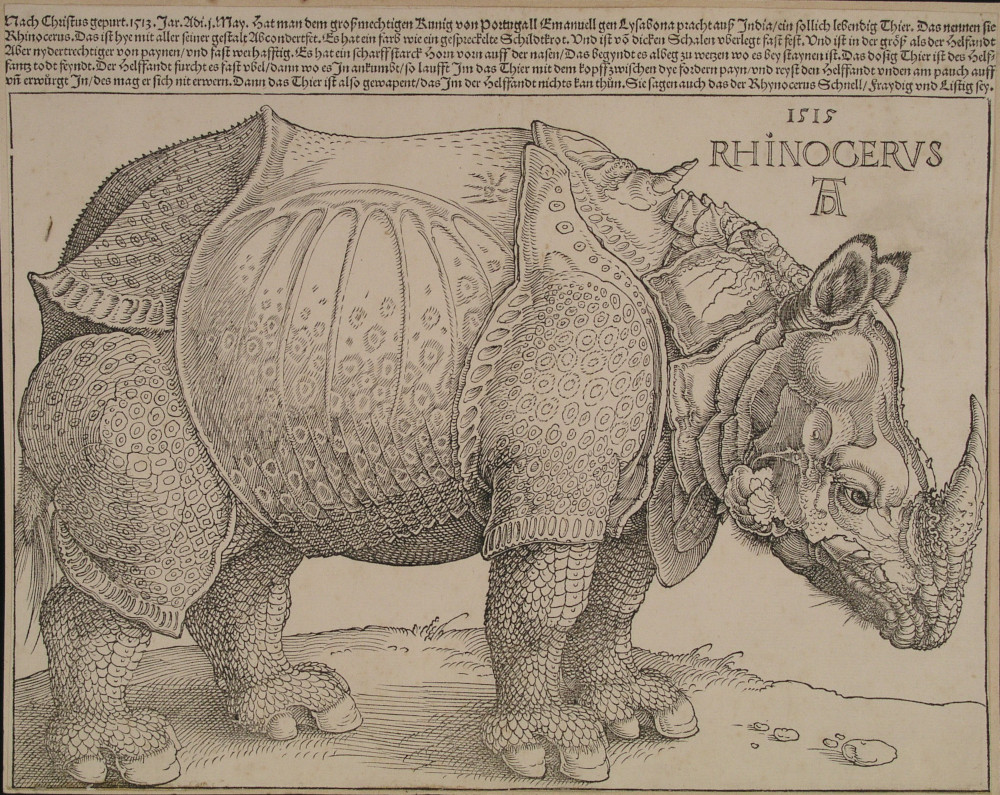 Rinoceronte de Durero