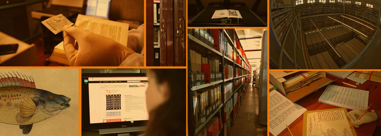 La Red de Bibliotecas y Archivos del CSIC en cifras: memoria 2020