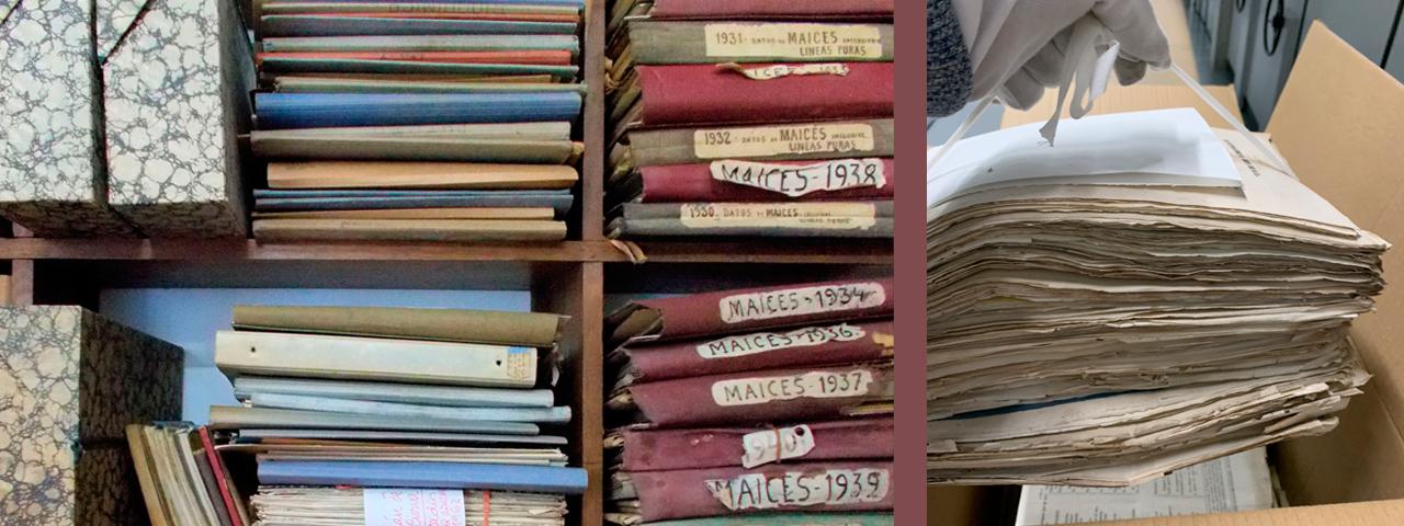 Patrimonio por descubrir en los archivos y bibliotecas de nuestra Red: nueva entrega de Enredadera, la revista de la Red de Bibliotecas y Archivos del CSIC