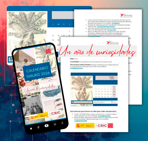 2026: Un año de curiosidades con Simurg