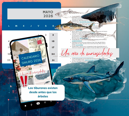 Curiosidad mayo