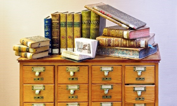 Safari en sala de lectura