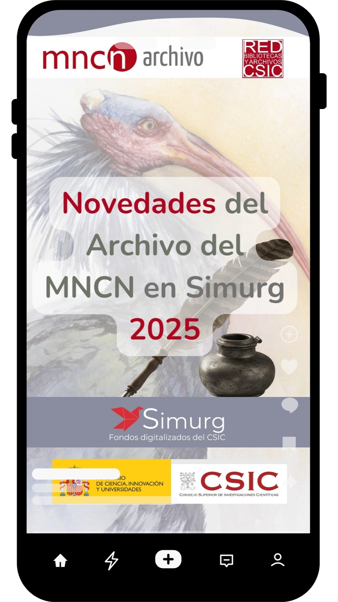 A-MNCN-Simurg-2025