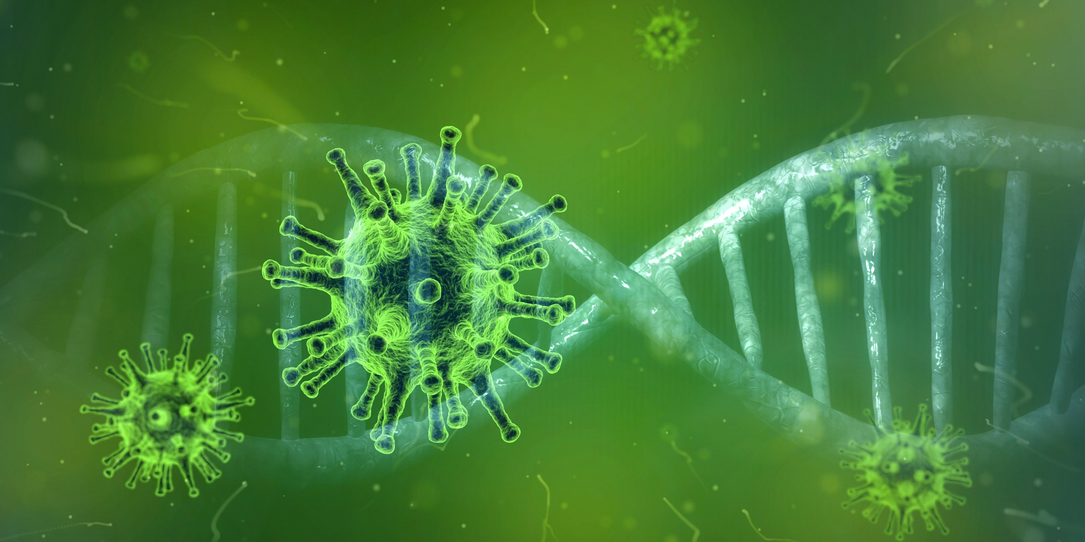 Coronavirus COVID-19 Verde