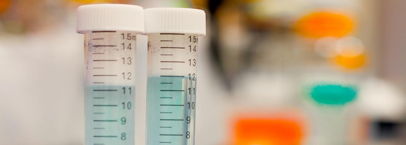 Nueva versión de GesBIB