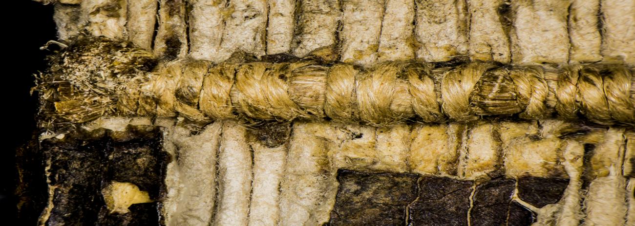 La Residencia de Investigadores y Biblioteca de Sevilla (REBIS) ganan el Primer Premio del Plan de Calidad del CSIC 2020