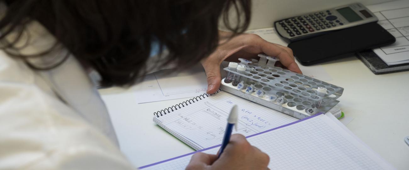 El CSIC, Crue y Wiley firman un acuerdo transformativo para impulsar el acceso abierto en España