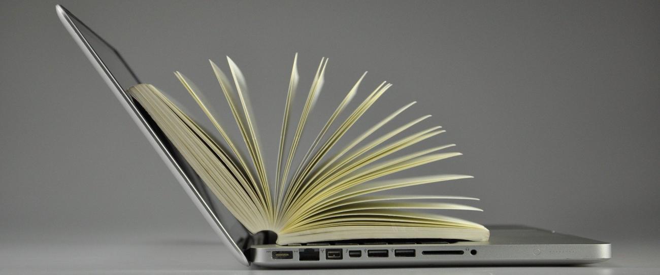 Cerca de 5.000 nuevos ebooks de todas las materias incorporados a la Biblioteca Virtual del CSIC en 2021