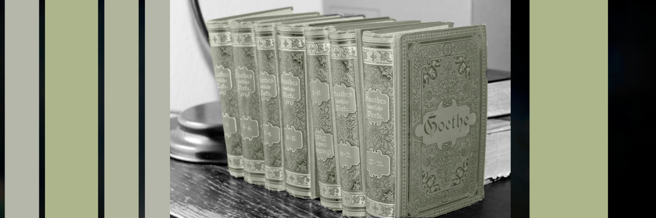 Se incorporan las revistas del editor De Gruyter al Programa de Apoyo a la Publicación en Acceso Abierto para autores del CSIC 