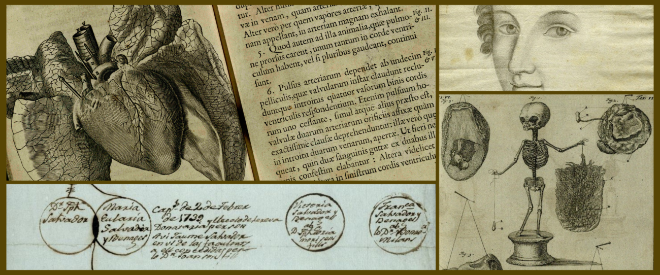 El CSIC digitaliza tres incunables de un importante gabinete de curiosidades de botánica y medicina