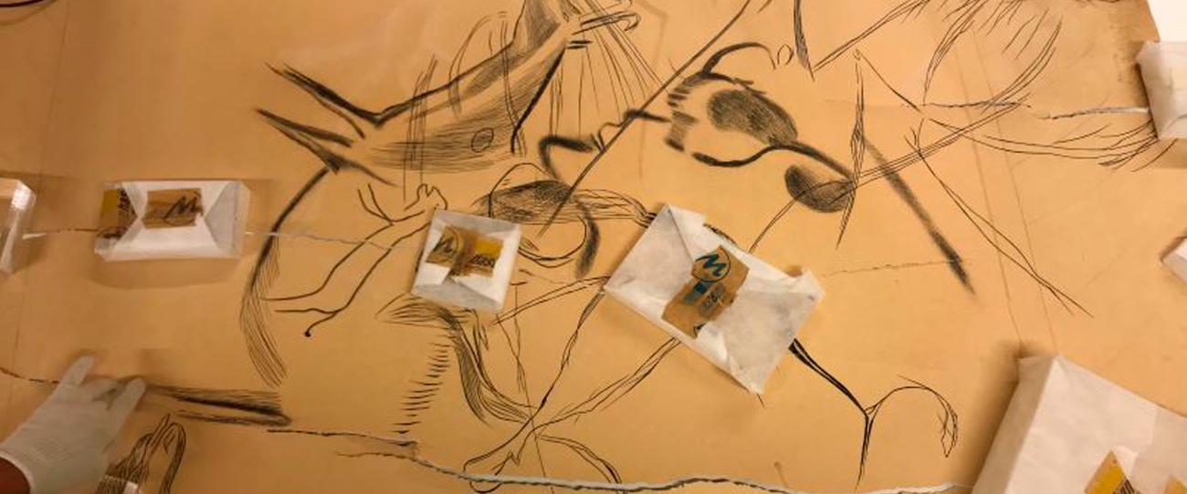 Crece la colección documental del Museo Nacional de Ciencias Naturales