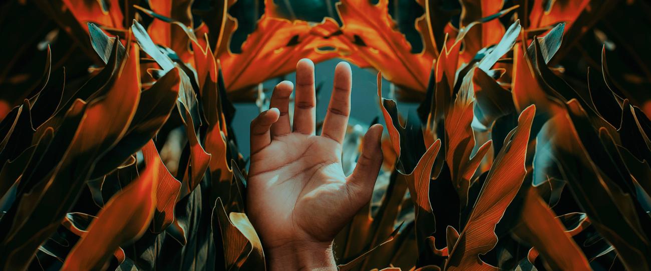 Informe de seguimiento de la Carta de Servicios de la Red de Bibliotecas y Archivos del CSIC