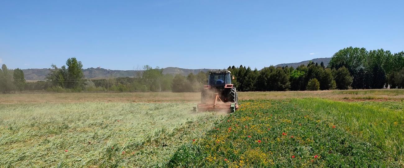 Se completa la integración de la biblioteca del INIA en la Biblioteca Virtual del CSIC
