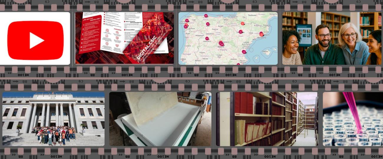 Canal de YT de la Red