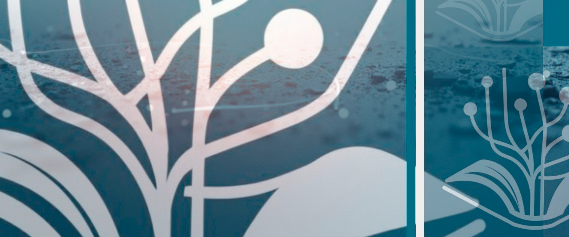 	GesBIB, aliado clave para la acreditación de sexenios 2025