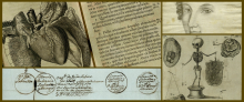 El CSIC digitaliza tres incunables de un importante gabinete de curiosidades de botánica y medicina