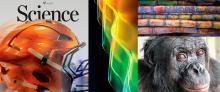 Revista Science